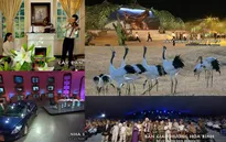 Ấn tượng VTV: Danh sách đề cử chương trình Văn hóa - Khoa học - Xã hội - Giáo dục