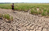 Đồng bằng sông Cửu Long ứng phó với tác động của biến đổi khí hậu