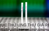 Que thử ung thư giá rẻ