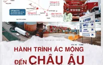 Đa chiều Câu chuyện quốc tế