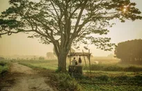 Tỉnh Thừa Thiên - Huế xem xét đưa “Mắt biếc” vào tour du lịch