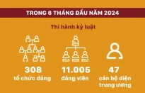 [Infographic] Kết quả công tác phòng, chống tham nhũng, tiêu cực 6 tháng đầu năm 2024