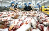 Xuất khẩu thủy sản tăng chậm lại trong tháng 6