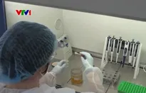 Áo xét nghiệm ADN để phát hiện mật ong giả