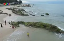 Bình yên bãi rạng thu hút du khách