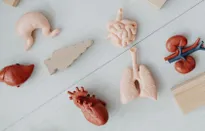 In 3D ngay trong cơ thể bằng sóng siêu âm