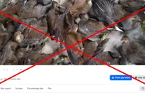 Cộng đồng tham gia gỡ bỏ hội nhóm buôn bán động vật hoang dã trên mạng xã hội