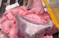 Quảng Trị bắt giữ vụ vận chuyển 600 kg nội tạng động vật trái phép