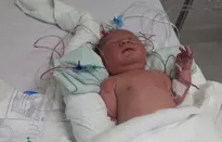 Giấc mơ lớn lên còn dang dở vì trái tim không lành lặn của bệnh nhi 2 tháng tuổi
