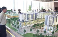 Thường trực Chính phủ: Làm rõ nguyên nhân làm tăng cơ cấu giá bất động sản
