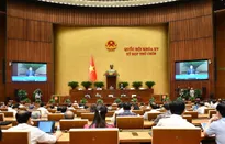 Ngày 14/6, Quốc hội biểu quyết thông qua Luật Thuế tiêu thụ đặc biệt (sửa đổi)