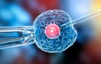 Bộ kit xét nghiệm di truyền EmbryoMap là bước tiến, không phải thay thế