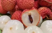 Vải thiều Việt Nam chinh phục người tiêu dùng Anh