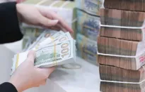 Hoạt động bảo hiểm tỷ giá của doanh nghiệp xuất khẩu tăng mạnh