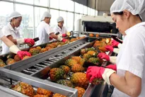 Govt urges firms to boost quality