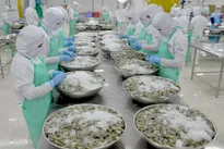 Agreement signed to sustain fisheries