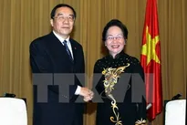 Vietnam to closely work with China to fight corruption