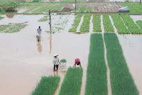 Goal for agricultural production not met