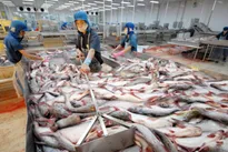Tra fish exports to China increase by 90%