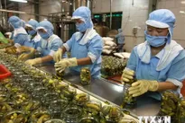 Vietnamese exporters still not take advantage of trade deals