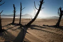 Cape Town drought declared a 'national disaster'