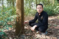 Forest plantations lift Phú Thọ farmers' lives for good
