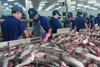 Export of tra fish expected to reach $2.06 billion this year