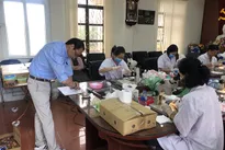 Japan to import Vietnamese lychees