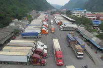 Coronavirus delays Việt Nam’s agricultural exports to China