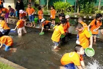 Hà Nội looks to boost eco-agriculture tourism