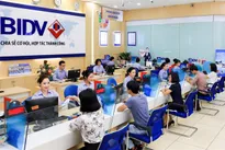 VN-Index witnesses largest one-day gain in 19 years