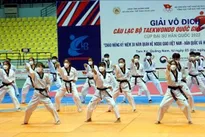 Taekwondo tournament marks 30 years of Vietnam-RoK ties