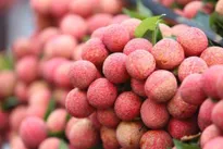 Lychee prices soar as output drops by more than 50%