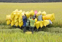 Plan issued to develop agricultural logistics system