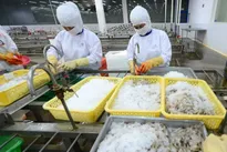 Vietnam takes advantage of opportunities to export agricultural products to the US market