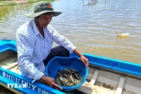 Mekong Delta promotes clean agricultural production to achieve Net Zero