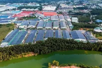 Investors upbeat about Vietnam’s industrial property market