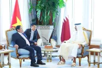 Vietnamese PM meets with Emir of Qatar in Doha