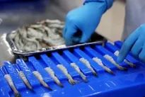 Vietnam's seafood sector primed for growth with favourable exports