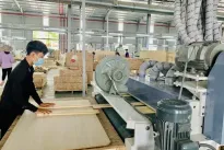 Binh Duong bolsters export to major markets