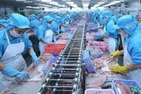 Vietnam's seafood export hits 1 billion USD mark for October