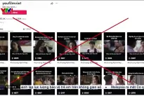Several VTV Programs Targeted  by Copyright Infringement