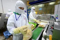 New challenges from agricultural export markets