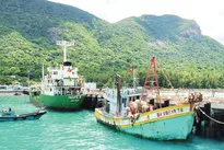Efforts to connect Con Dao with national power grid