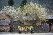 Ha Giang targets 3.5 million visitors in 2025