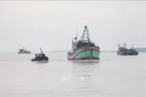 Ben Tre steps up efforts to fight IUU fishing