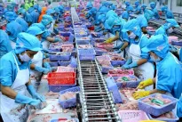 Vietnam taps Halal market to boost agricultural exports