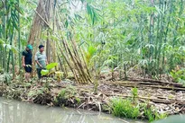 Promoting bamboo-based green economy and value chains