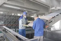 Cement industry eyes recovery in 2025 after years of glut