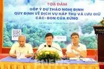 Vietnam completes legal framework for forest carbon market